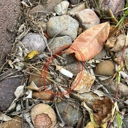 CPR Roofing - Cigarettes left behind in our yard
