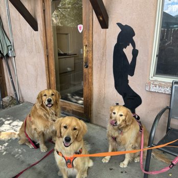 Lazy Dog Saloon - The Sweet Potato Tots are lip-smacking good! - Comfort Food Near Me - Ridgway, Colorado Lazy Dog Saloon - The Sweet Potato Tots are lip-smacking good! - Comfort Food Near Me - Ridgway, Colorado