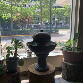 SAAO Thai & Sushi - Thai Near Me - Reston, Virginia SAAO Thai & Sushi - Thai Near Me - Reston, Virginia