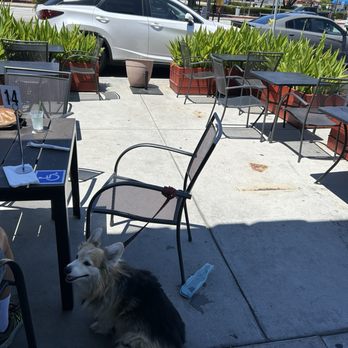 Chicken Maison - outside - Mediterranean Near Me - Gardena, California Chicken Maison - outside - Mediterranean Near Me - Gardena, California