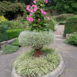 Goodbody Garden