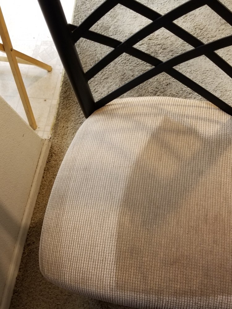 PRECISE CARPET CLEANING 4960 Chico St, Shasta Lake, CA Yelp