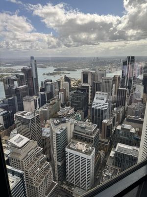 Sydney Tower Eye by null