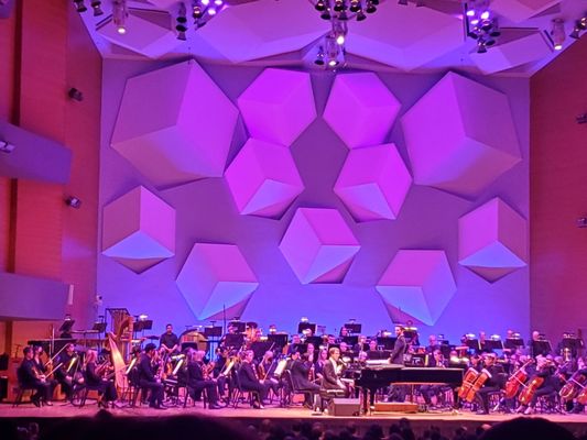 Minnesota Orchestra by null