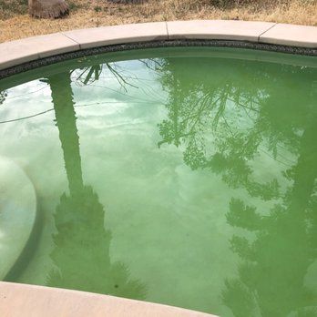 Alchemy Pool Service - Their crappy job - Pool Cleaners Near Me - Sacramento, California Alchemy Pool Service - Their crappy job - Pool Cleaners Near Me - Sacramento, California