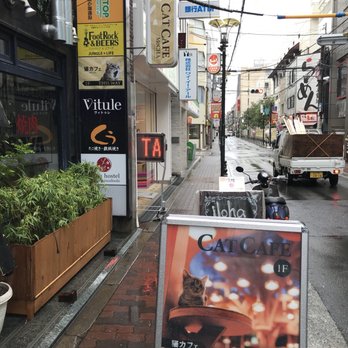 猫カフェ モカ 大阪心斎橋店 25 Photos Themed Cafes 東心斎橋1 18 11 大阪市 大阪府 Japan Restaurant Reviews Phone Number Yelp