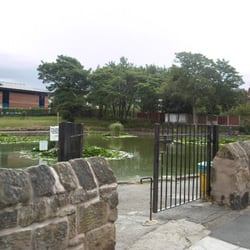 Captain's Pit