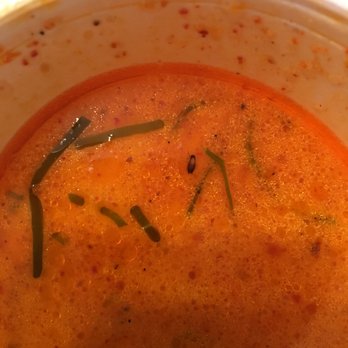 Thai House & Sushi Bar - Bug in the Tom Kha soup that the owner claimed was not a bug...it has antennas. - Thai Near Me - Florence, South Carolina Thai House & Sushi Bar - Bug in the Tom Kha soup that the owner claimed was not a bug...it has antennas. - Thai Near Me - Florence, South Carolina
