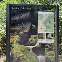Elk Meadow