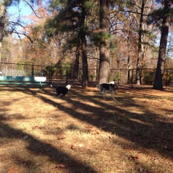 Fort Lee Dog Park