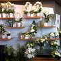 Photo of Oya Fleurs