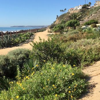Beach Trail - Beaches Near Me