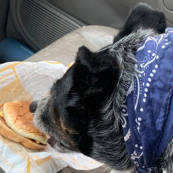 Jack in the Box - my wingman ordered a Jr. BACON CHEESEBURGER at the drive-thru - Fast Food Near Me - Carlsbad, California Jack in the Box - my wingman ordered a Jr. BACON CHEESEBURGER at the drive-thru - Fast Food Near Me - Carlsbad, California