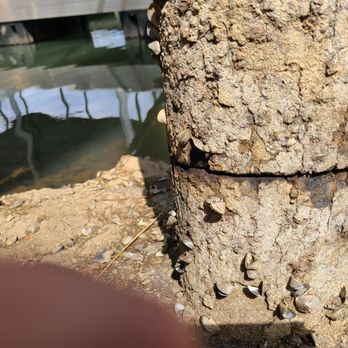 Smoky Mountain Docks - Austin said he did not know how to cut this old pile. I did this with a proper carbide blade. Failure of ethics or inept? - General Contractors Near Me - Dandridge, Tennessee