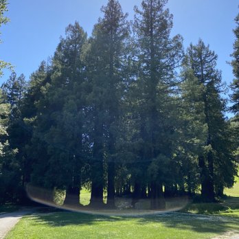 Mill Valley Golf Course - Golf Near Me - Mill Valley, California