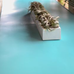 Fleurdetroit