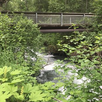 South Fork Falls - Hiking Near Me - Anchorage, Alaska