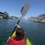 Sunset Kayak Rentals
