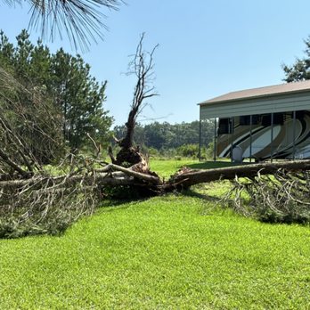 Horizon Landworks - fallen tree - Tree Services Near Me - Great Falls, South Carolina Horizon Landworks - fallen tree - Tree Services Near Me - Great Falls, South Carolina