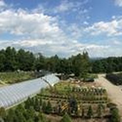 B & B Nurseries - Untitled