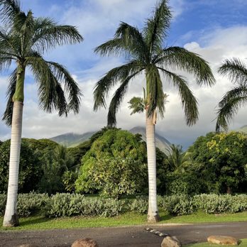 Camp Olowalu - Campgrounds Near Me - Lahaina, Hawaii Camp Olowalu - Campgrounds Near Me - Lahaina, Hawaii