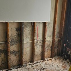 Top Down Restoration - Exposing what's hiding
