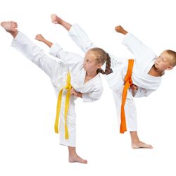 MJA Martial Arts