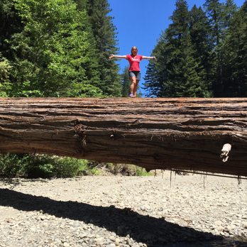 Humboldt Redwoods State Park - Parks Near Me - Weott, California Humboldt Redwoods State Park - Parks Near Me - Weott, California