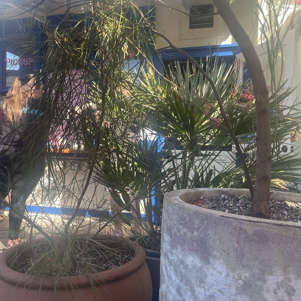The Station - More Plants - Burgers Near Me - Berkeley, California The Station - More Plants - Burgers Near Me - Berkeley, California
