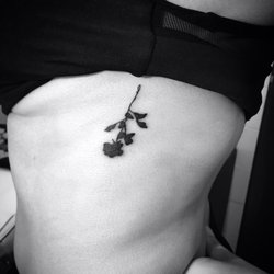 Ink of Rome