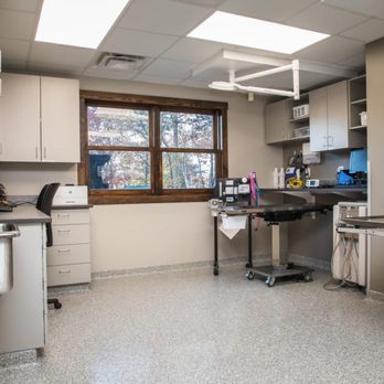 Crosslake Veterinary Hospital - Veterinarians Near Me - Crosslake, Minnesota Crosslake Veterinary Hospital - Veterinarians Near Me - Crosslake, Minnesota