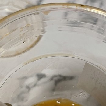 Tea Spot - Speck crawling around the inside and the speck again on the lid edge - ant and ant - Coffee & Tea Near Me - Aiea, Hawaii Tea Spot - Speck crawling around the inside and the speck again on the lid edge - ant and ant - Coffee & Tea Near Me - Aiea, Hawaii