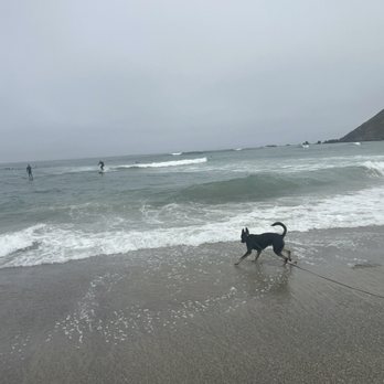 Pacifica State Beach - Our pup had a great time! - Beaches Near Me - Pacifica, California Pacifica State Beach - Our pup had a great time! - Beaches Near Me - Pacifica, California