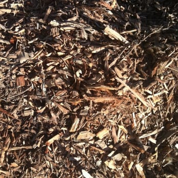 Dylan Dixon Tree Services - Tree Services Near Me