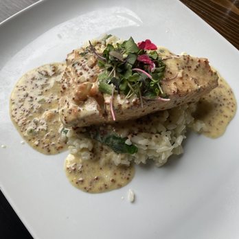Rusticucina - Salmon with a mustard glaze and risotto - Italian Near Me - San Diego, California