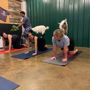 Shenanigoats Community Services - Yoga Near Me - Madison, Tennessee