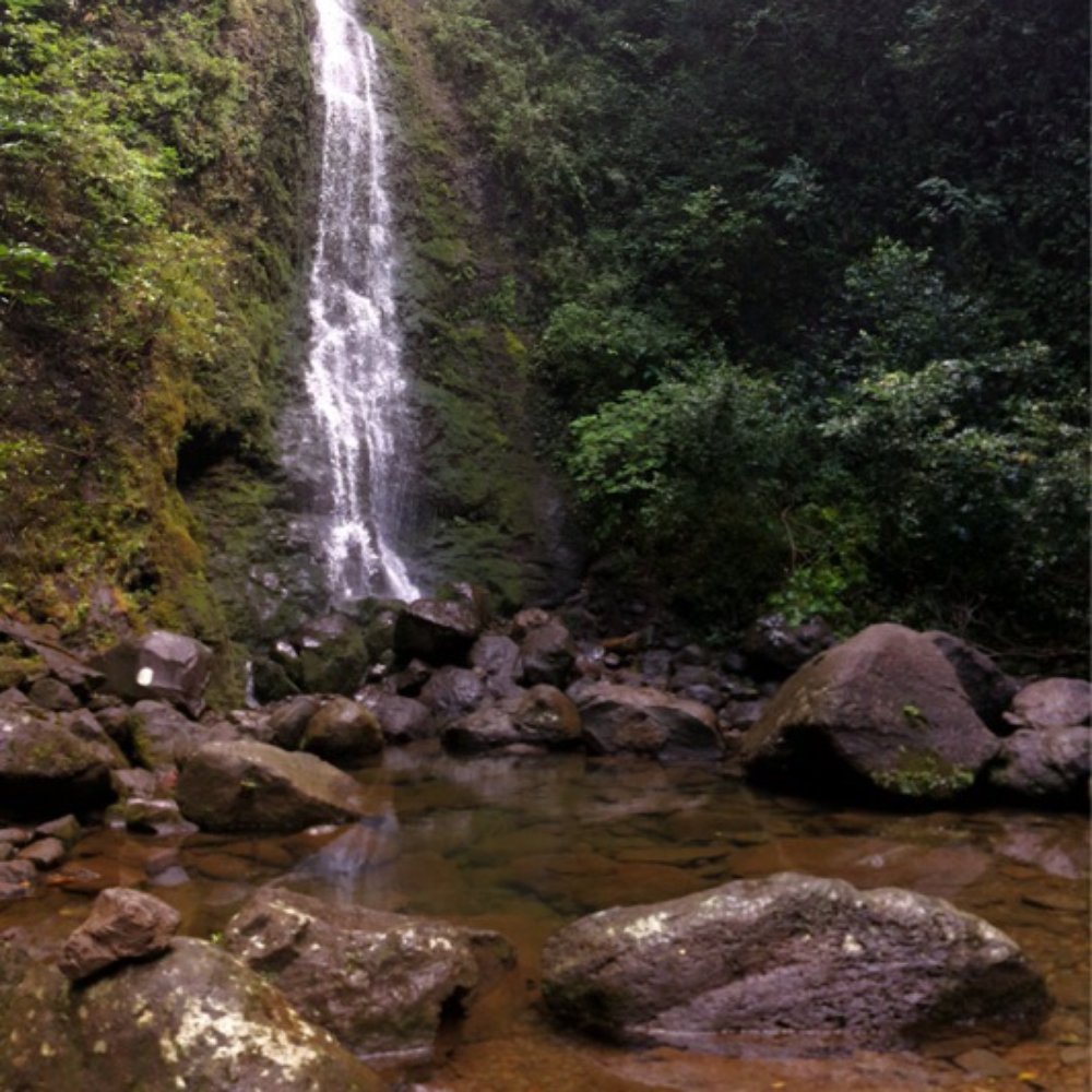 Lulumahu Falls - Hiking Near Me - Honolulu, Hawaii Lulumahu Falls - Hiking Near Me - Honolulu, Hawaii
