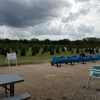 Pipe Creek Christmas Tree Farm - Christmas Trees Near Me - Pipe Creek, Texas Pipe Creek Christmas Tree Farm - Christmas Trees Near Me - Pipe Creek, Texas