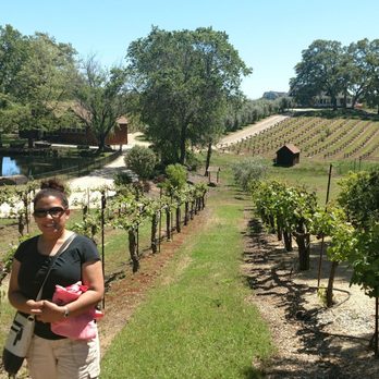 Young's Vineyard - Wineries Near Me - Plymouth, California Young's Vineyard - Wineries Near Me - Plymouth, California