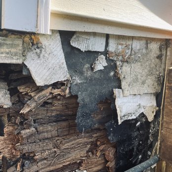 1st Priority Inspection - water damage - Home Inspectors Near Me - Malverne, New York 1st Priority Inspection - water damage - Home Inspectors Near Me - Malverne, New York