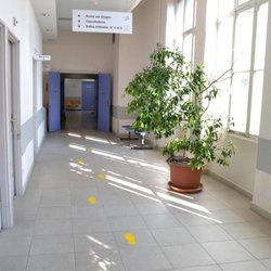 Hôpital Edouard Herriot