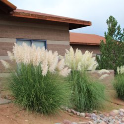 Banner Health Clinic: Primary Care Medicine