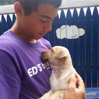 Voorhees Animal Orphanage - Love at first sight! Maxwell 8weeks old pup - Animal Shelters Near Me - Voorhees, New Jersey