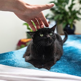 Hands On Healing - Massage Therapy Near Me - Silver Springs, Maryland