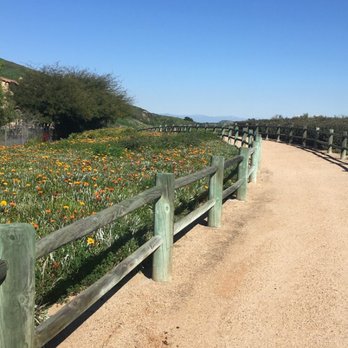 Schabarum Trail - Nice easy part of the trail. - Hiking Near Me - Walnut, California