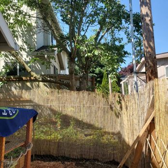 Arbornaut - After! SO Much space now! - Tree Services Near Me Arbornaut - After! SO Much space now! - Tree Services Near Me