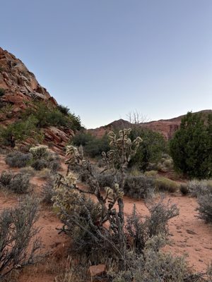 Snow Canyon State Park by null