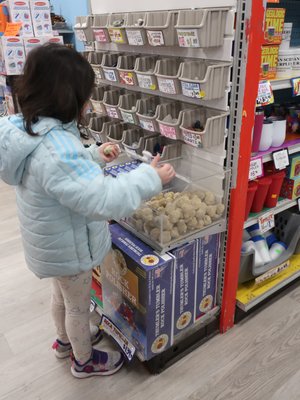 American Science & Surplus by null