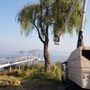Photo of A Nichols Tree Service