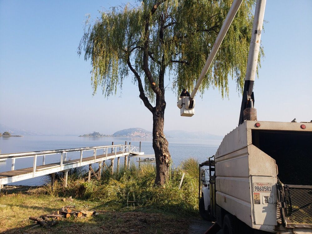 A NICHOLS TREE SERVICE Updated October 2024 15375 Bottlerock Rd